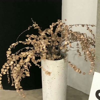 凤冈福瑞交流群